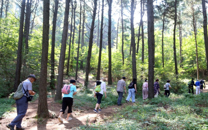 [2024 하계 교사연수 ]-20240824