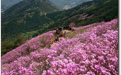 4월천주산 산행 2